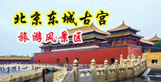欧美插插插插插激情视频中国北京-东城古宫旅游风景区